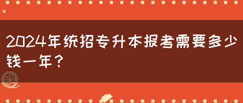 2024年统招专升本报考需要多少钱？