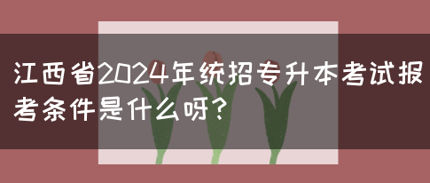 江西省2024年统招专升本考试报考条件是什么呀？