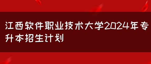 江西软件职业技术大学2024年专升本招生计划